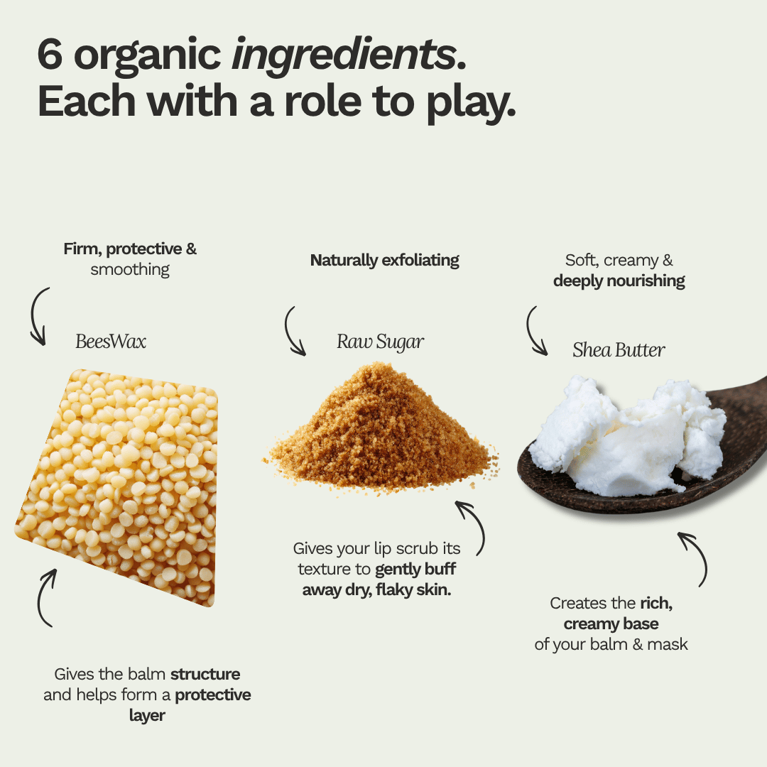 Make Your Own: Organic Lip Balm / Care Kit - 3 DIY Projects