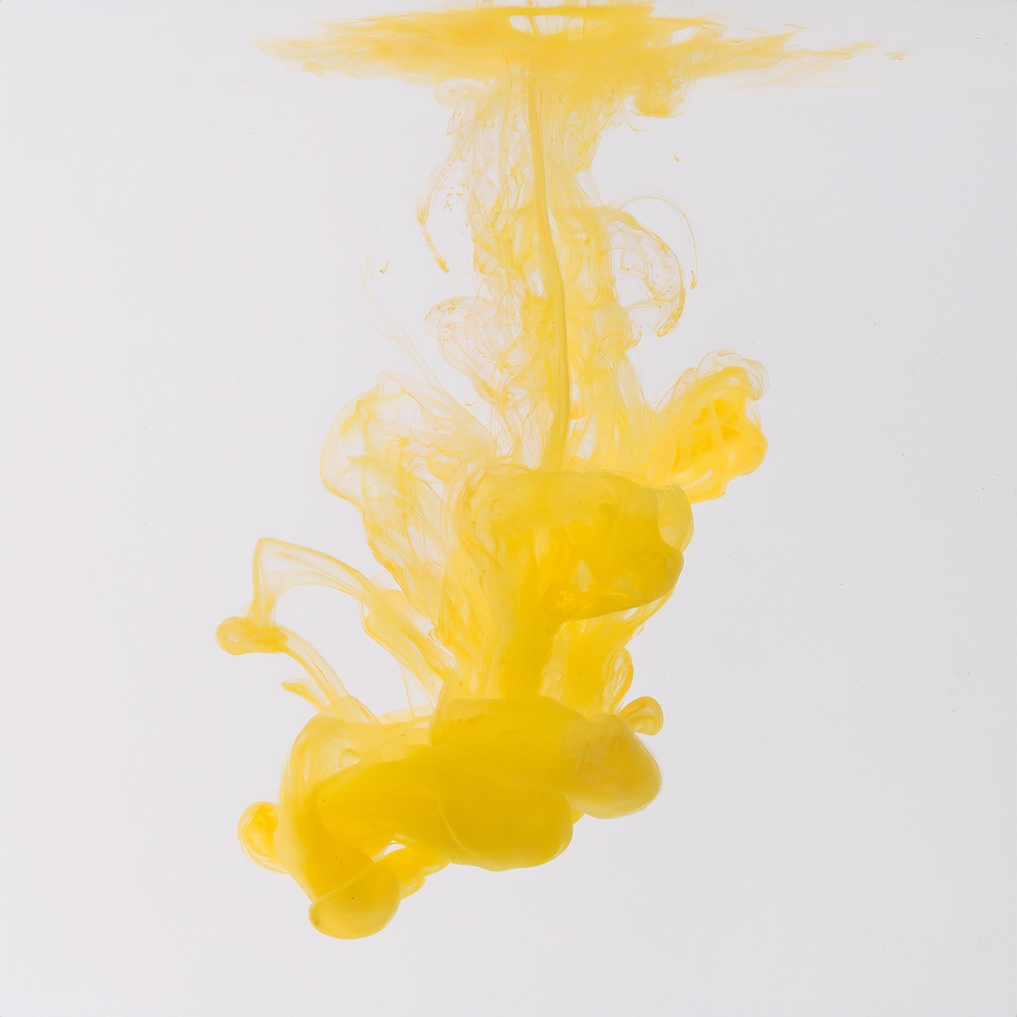 Liquid Pigment Colour Dispersion - Yellow - 1.4kg Bulk – Craft 360