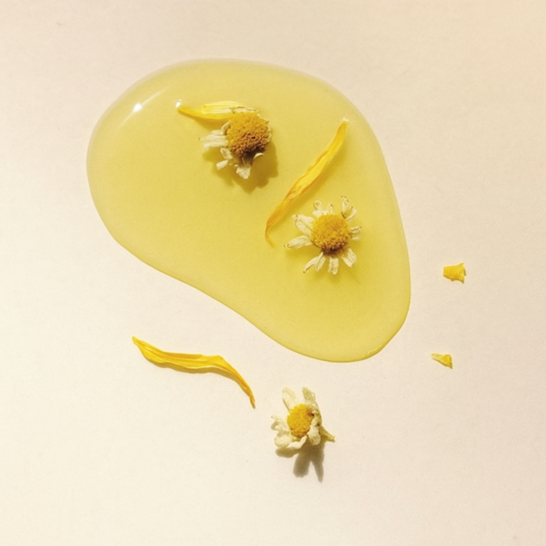 chamomile and calendula petals infusing in avocado oil